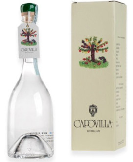 Capovilla - Distillato di Pere Williams - Astucciato - 50cl