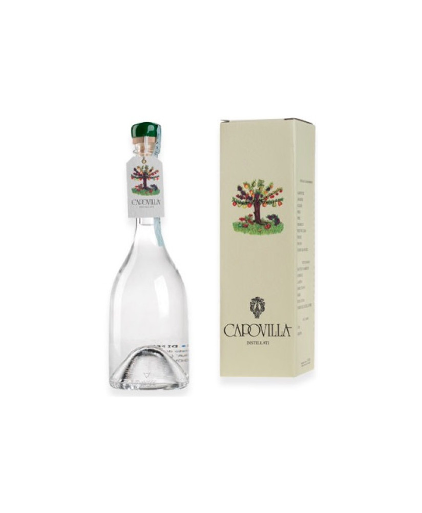 Capovilla - Distillato di Pere Williams - Astucciato - 50cl