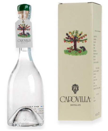 Capovilla - Distillato di Pere Williams - Astucciato - 50cl