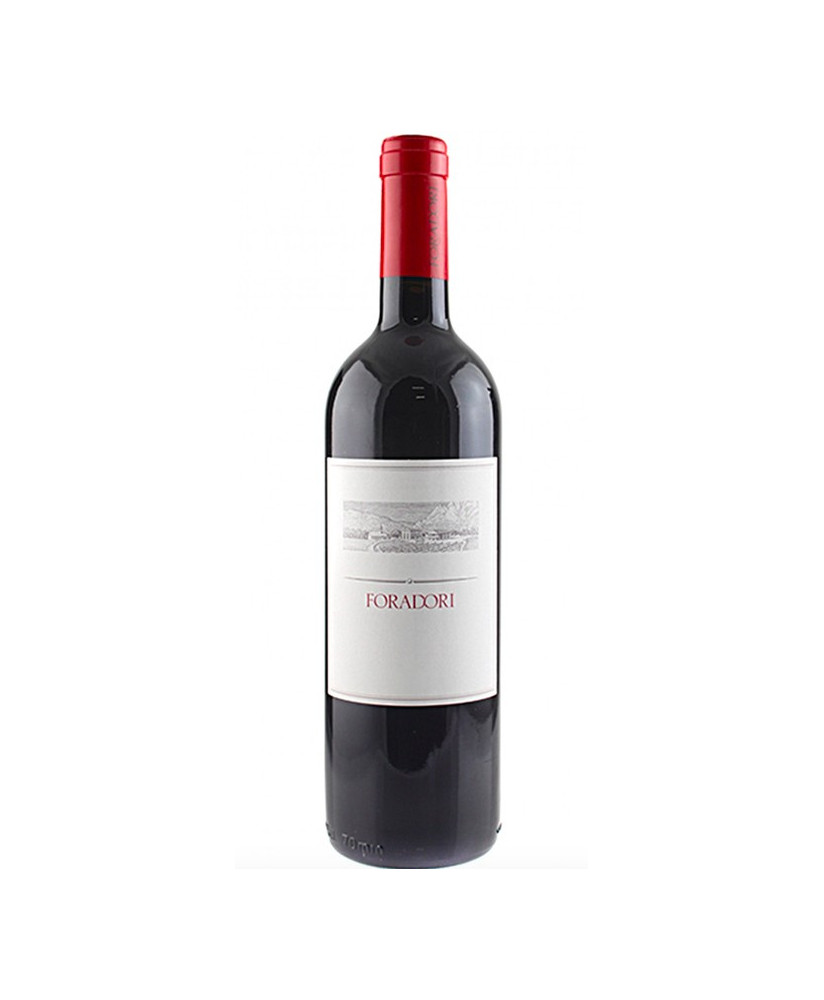 Foradori Lezer Dolomites wine Teroldego online shop | Corso101.comhop red wines