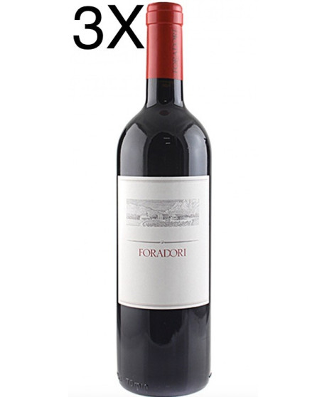 Foradori Lezer Dolomites wine Teroldego online shop | Corso101.comhop red wines Foradori Lezer Dolomites wine Teroldego online shop | Corso101.comhop red wines