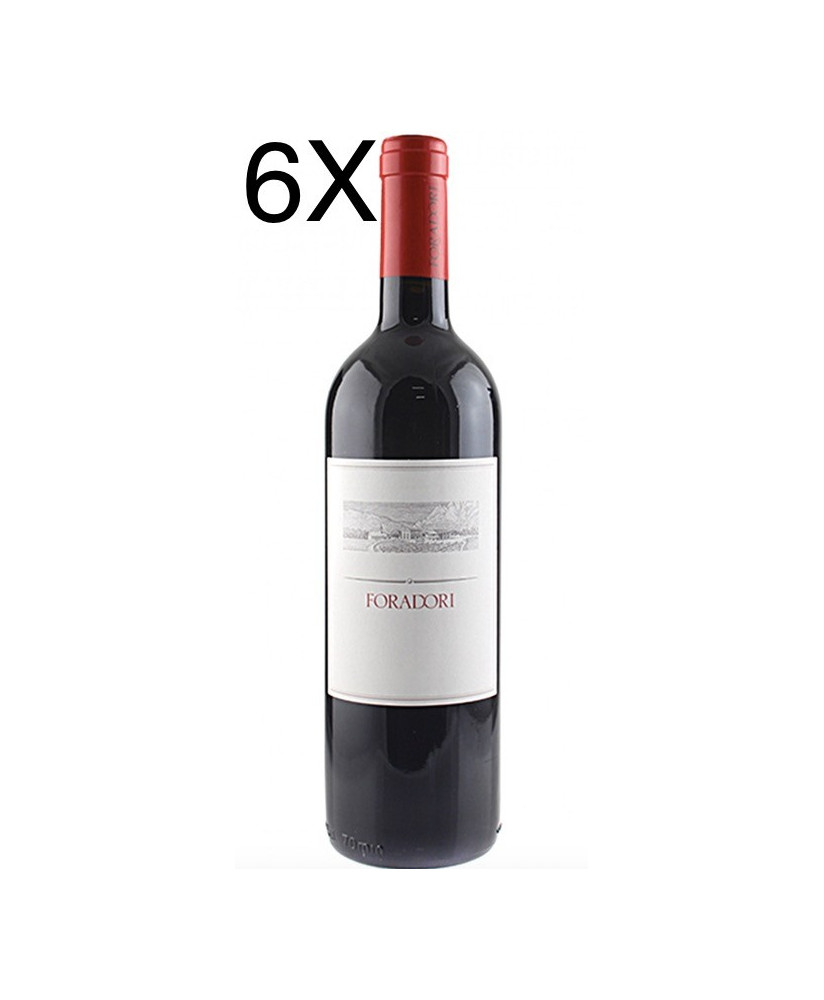 Foradori Lezer Dolomites wine Teroldego online shop | Corso101.comhop red wines