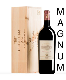 Tenuta Dell' Ornellaia La Tensione 2016 magnum 1,5 litri - Shirin Neshat - Vendita online Shop miglior prezzo