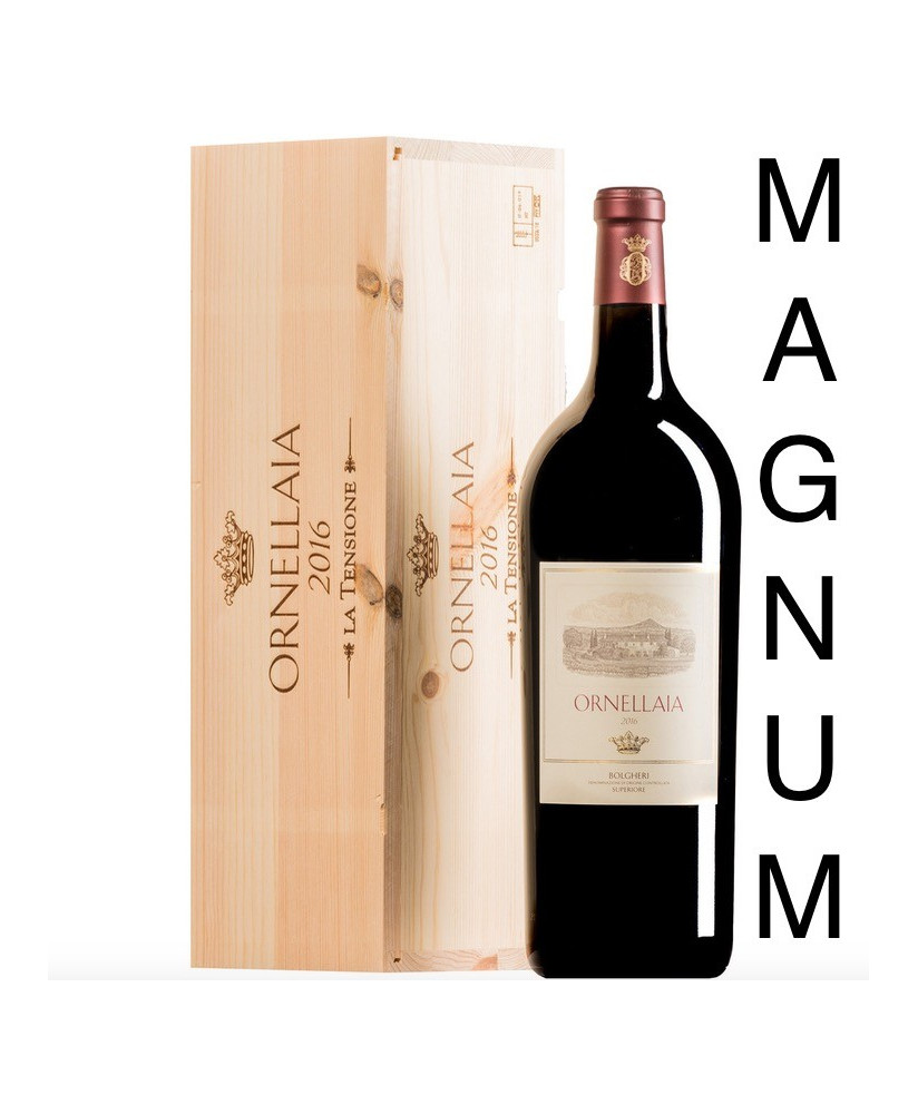 Tenuta Dell' Ornellaia La Tensione 2016 magnum 1,5 litri - Shirin Neshat - Vendita online Shop miglior prezzo