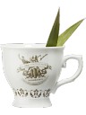 Gin Hendrick's - Tea Cup