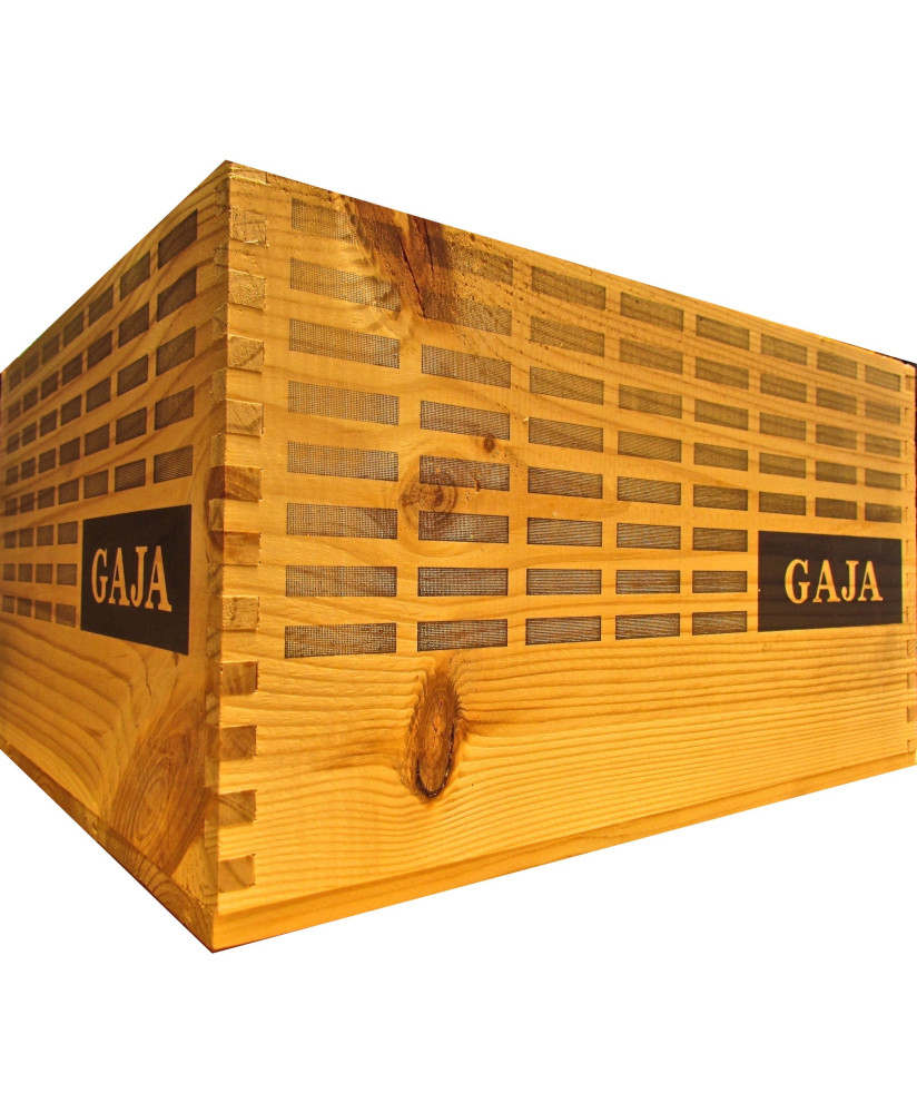 Vendita online cassette di legno per arredare. Cassettine di legno per il vino utillate come complementi d'arredo design. 