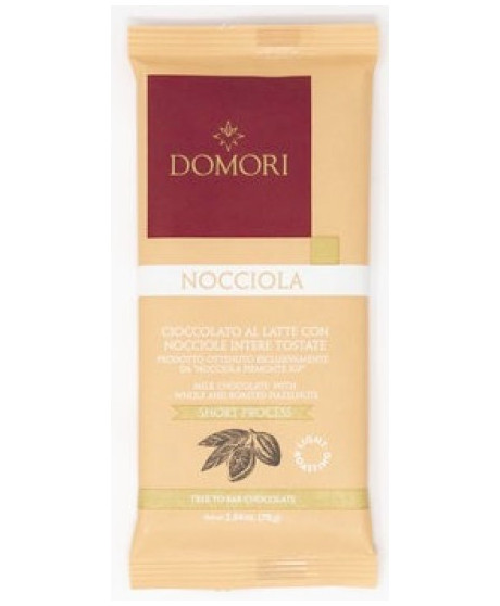 Domori - Milk chocolate with Hazelnuts - 75g