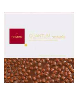 Vendita online tavolette di cioccolato al latte con Nocciole Piemonte IGP di Domori. Shop on-line barrette di cioccolata al latt