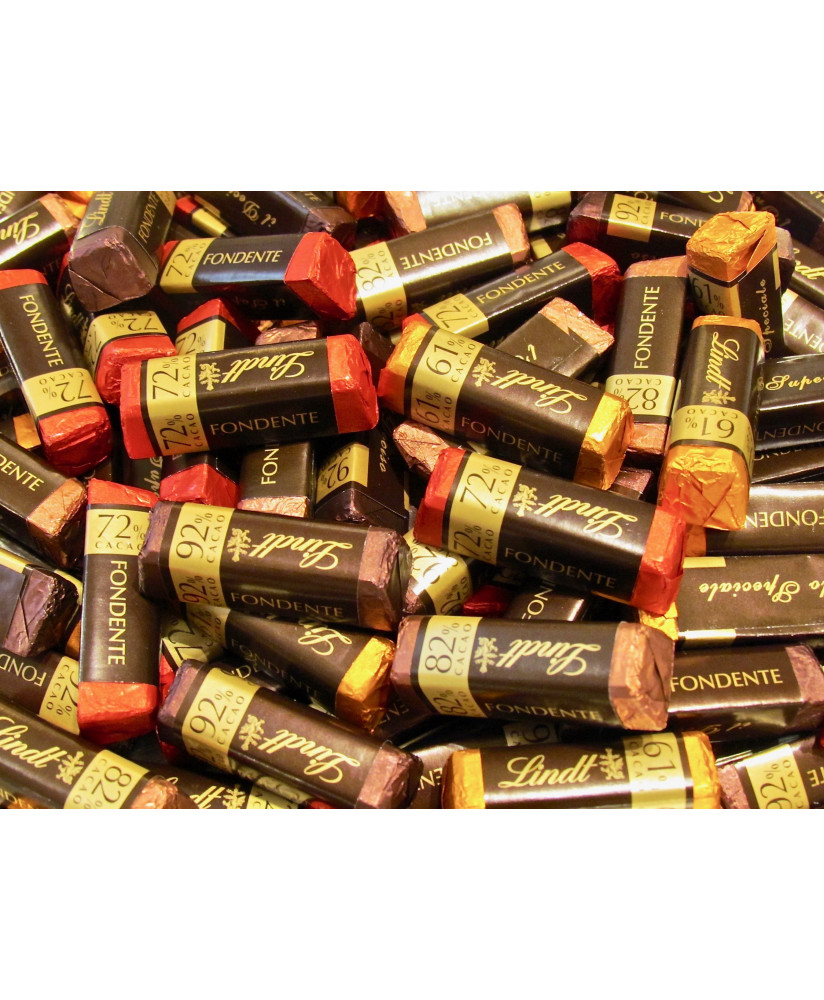 Lindt - Lingottini - Fondenti Assortiti - 100g