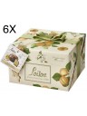 (6 PANETTONI X 1000g) Loison - Apricot and Ginger