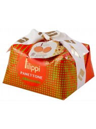 Filippi - Panettone - Apricot - 1000g