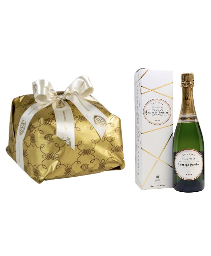 Online sales packaging Christmas 2013 with French Champagne, panettone craft from old bakery Cova (Typical Christmas Cake) in vi