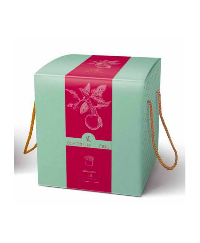 Vendita online il Miglior panettone del 2014 Fausto Bertolini, Casa del Dolce. Shop online panettoni artigianali di qualità