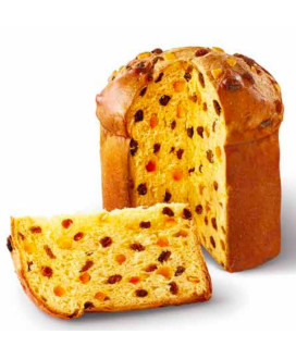 Vendita online il Miglior panettone del 2014 Fausto Bertolini, Casa del Dolce. Shop online panettoni artigianali di qualità