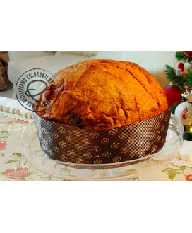 (3 PANETTONI X 1000g) Pepe - Albicocca del Vesuvio