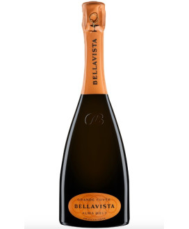 Vendita online Franciacorta Bellavista Cuvée Brut al miglior prezzo on line spumanti e vini italiani, erbusco, brescia