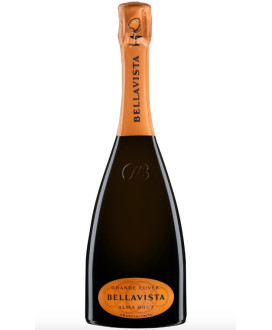 Bellavista - Alma Gran Cuvée Brut - NEW AIR ON WINE - Franciacorta - 75cl