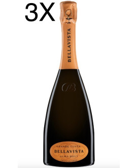 Vendita online Franciacorta Bellavista Cuvée Brut  DOCG. Miglior prezzo on line spumanti e vini italiani, erbusco, brescia. Enot