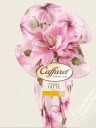 Caffarel - Elegance - Latte - 320g