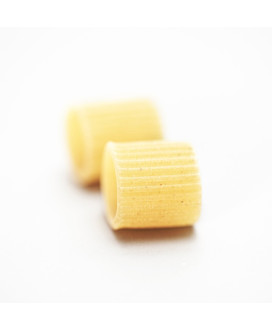 vendita online pasta mancini miglior prezzo on line mezze maniche di semola di grano duro azienda agricola mancini di monte san
