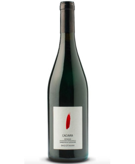 Online Sale OUR SELECTION OF EMILIA ROMAGNA RED WINES Vulpitta Corso 101