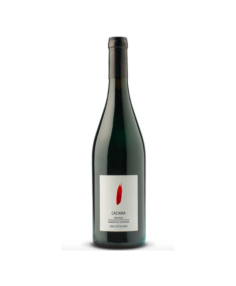 Online Sale OUR SELECTION OF EMILIA ROMAGNA RED WINES Vulpitta Corso 101