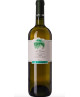 Fattoria San Lorenzo - Le Oche 2018 - Verdicchio dei Castelli di Jesi DOP - 75cl