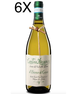 (3 BOTTIGLIE) Zaccagnini - Il Bianco di Ciccio 2019 - Tralcetto - Abruzzo Bianco DOC - 75cl