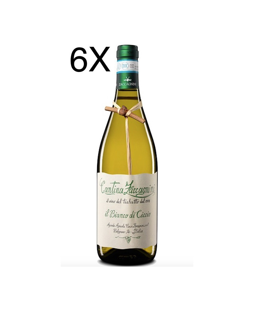 (3 BOTTIGLIE) Zaccagnini - Il Bianco di Ciccio 2019 - Tralcetto - Abruzzo Bianco DOC - 75cl