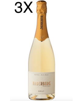 Haderburg brut vendita spumante trentino prezzo online | corso101.com