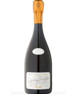 Wines online shop Haderburg Hausmannhof vintage wine | corso101.com