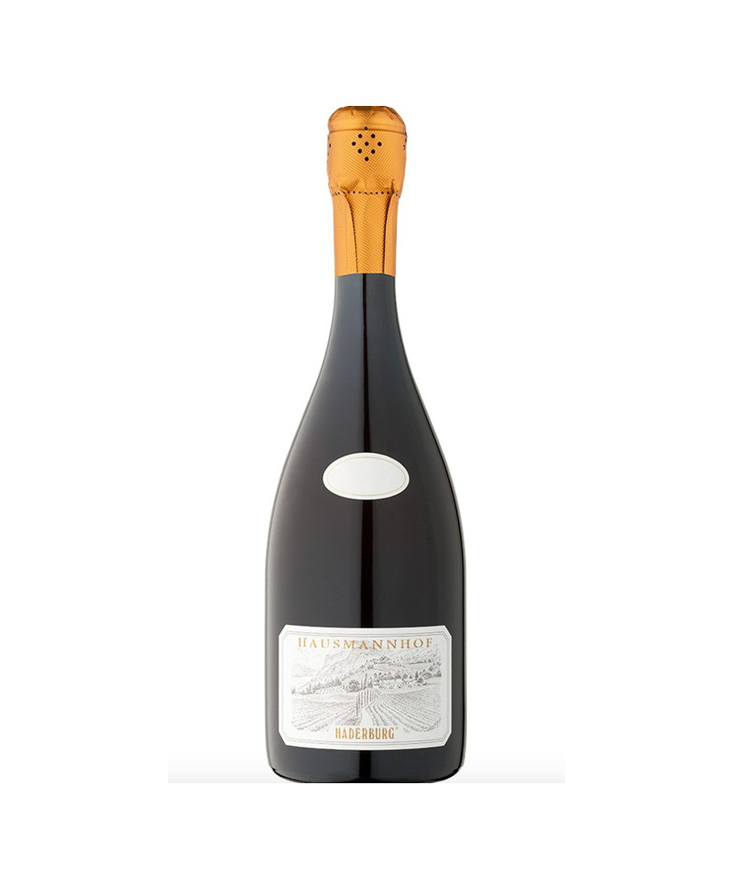 Wines online shop Haderburg Hausmannhof vintage wine | corso101.com
