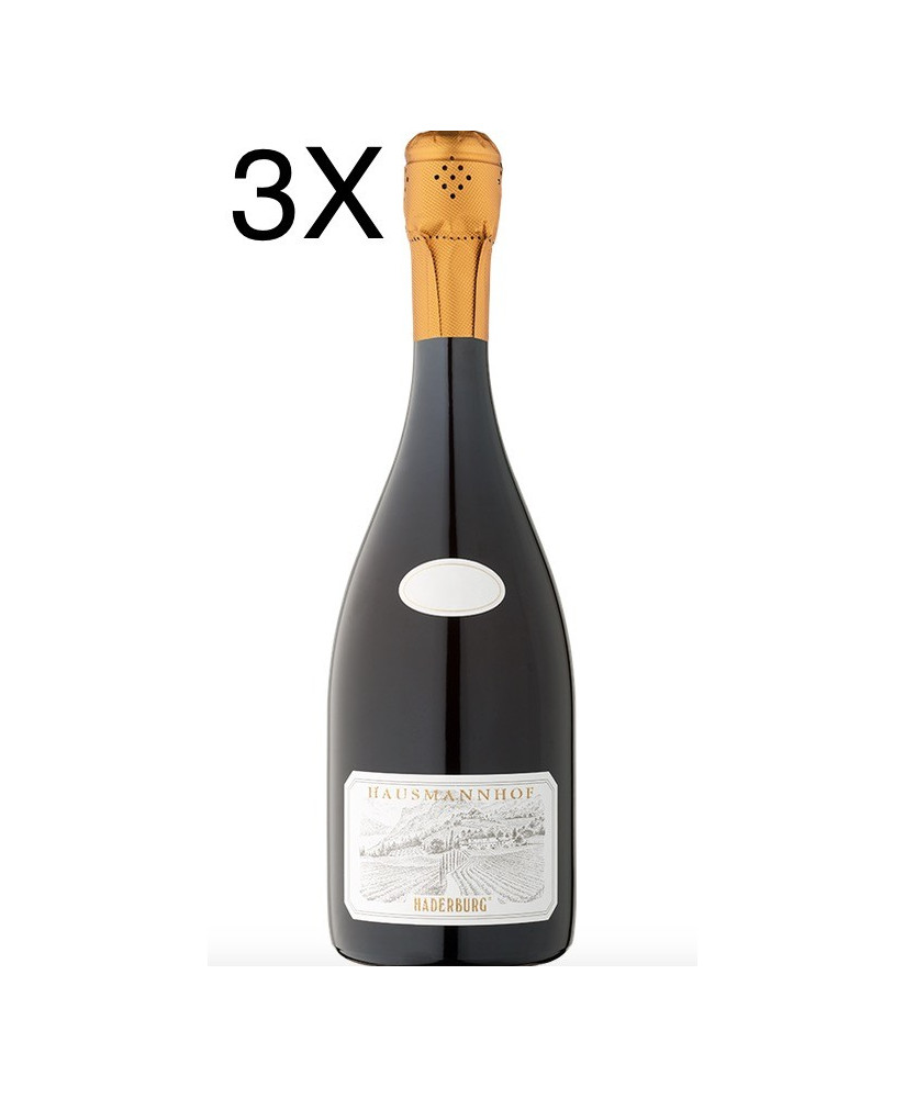 Wines online shop Haderburg Hausmannhof vintage wine | corso101.com