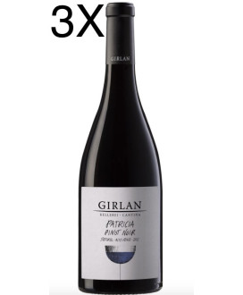 Girlan Pinot Nero Patricia vendita online vino del trentino | Corso101