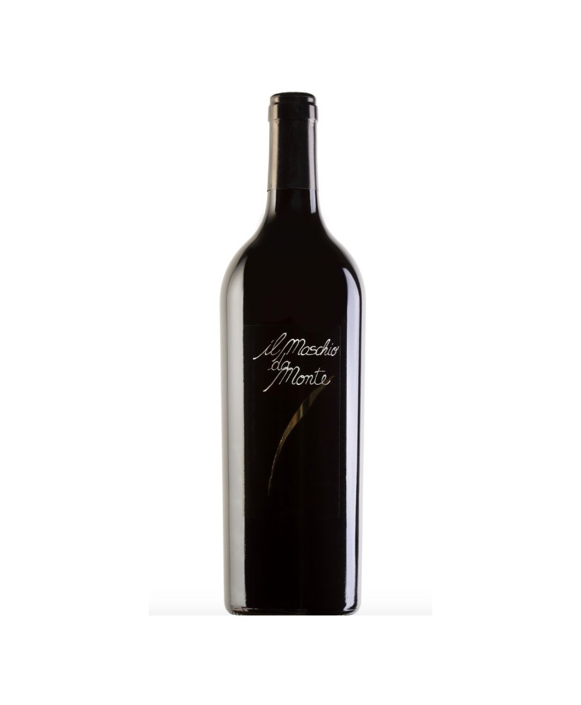 Santa Barbara - Maschio da Monte 2018 - Rosso Piceno DOC - 75cl