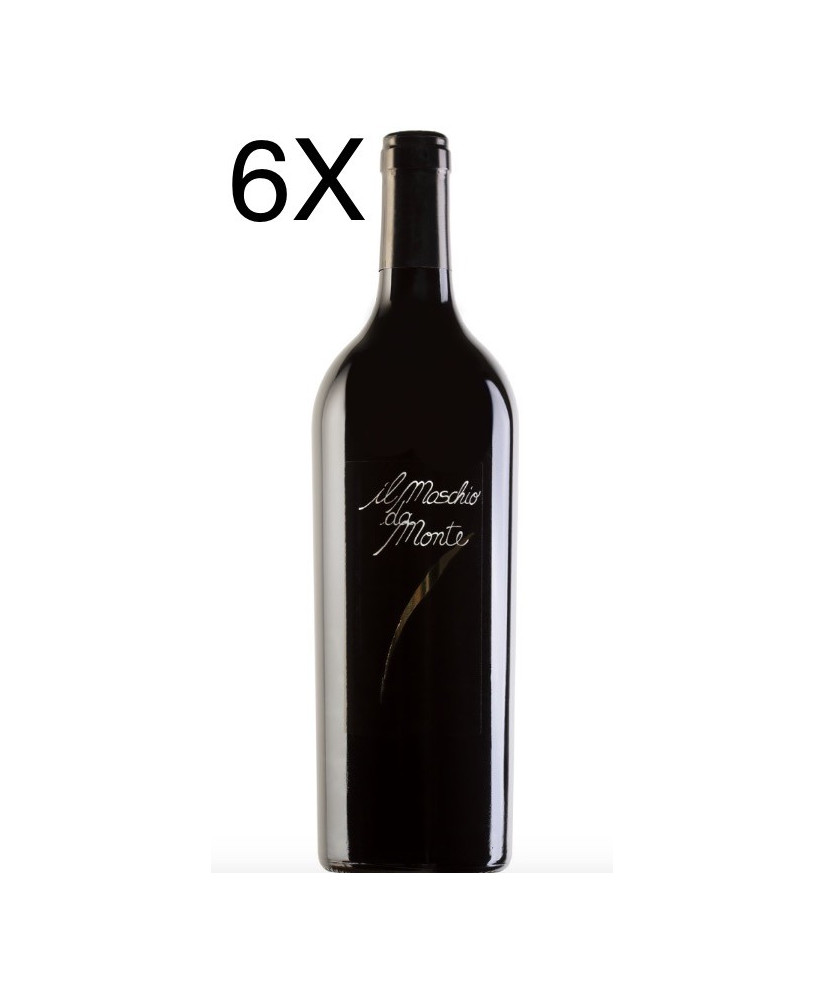 (6 BOTTIGLIE) Santa Barbara - Maschio da Monte 2018 - Rosso Piceno DOC - 75cl