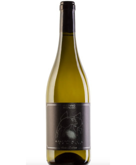 Santa Barbara - Animale Celeste 2019 - Sauvignon Marche IGT - Stefano Antonucci - 75cl