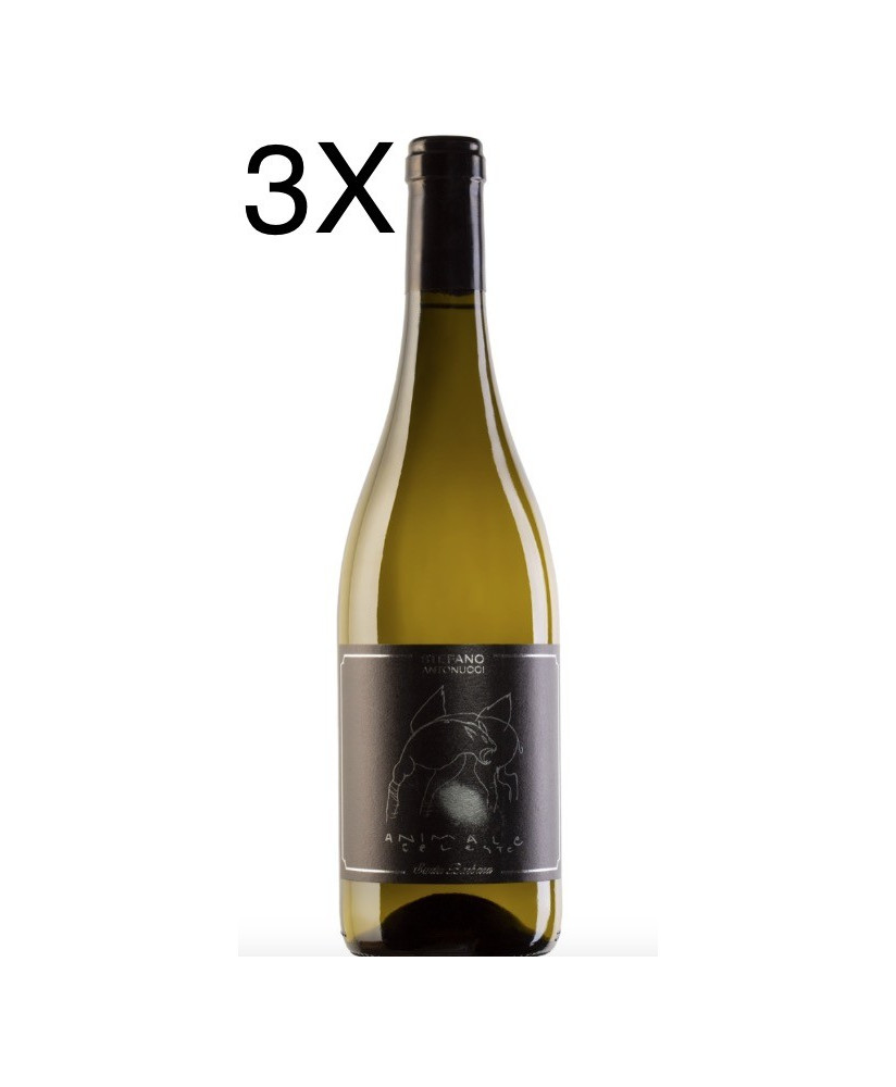 Santa Barbara - Animale Celeste 2019 - Sauvignon Marche IGT - Stefano Antonucci - 75cl