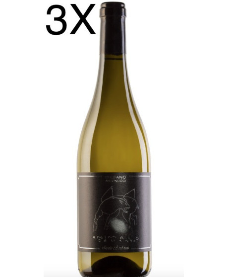 (3 BOTTIGLIE) Santa Barbara - Animale Celeste 2022 - Sauvignon Marche IGT - Stefano Antonucci - 75cl