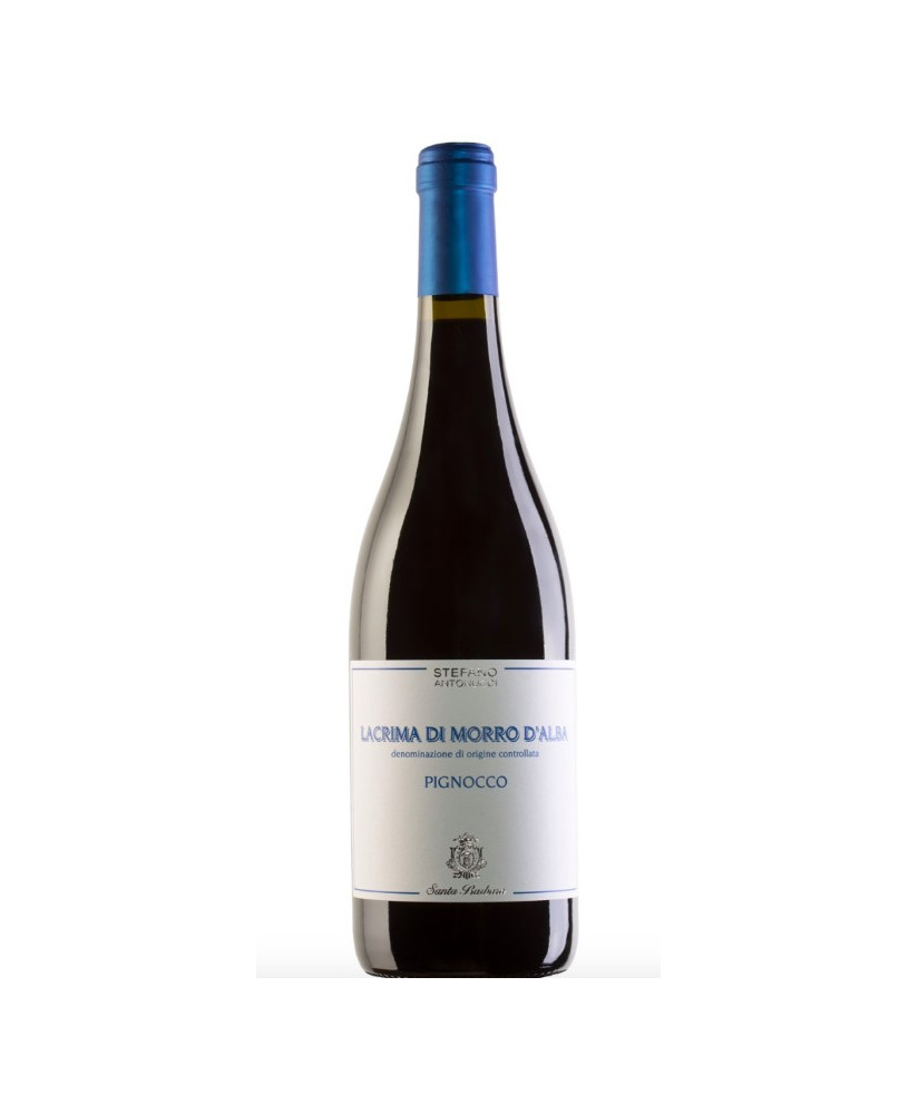 Vendita online Pignocco Rosso dell'azienda agricola Santa Barbara di Stefano Antonucci. Prezzo on line Pignocco €6,50. Shop on l
