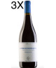(3 BOTTIGLIE) Santa Barbara - Pignocco 2023 - Lacrima di Morro d'Alba DOC - 75cl