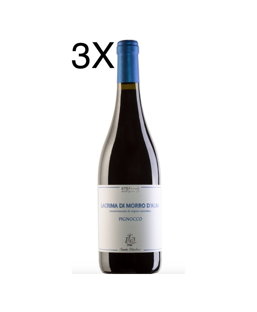 (3 BOTTIGLIE) Santa Barbara - Pignocco 2022 - Lacrima di Morro d'Alba DOC - 75cl