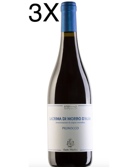 (3 BOTTIGLIE) Santa Barbara - Pignocco 2022 - Lacrima di Morro d'Alba DOC - 75cl