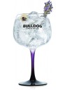 BULLDOG - Glass
