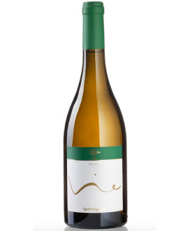 Online Sale OUR SELECTION OF WHITE WINES FROM THE BEST BRANDS. BOTTLES 75 CL  Vulpitta Corso 101