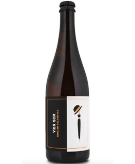Birrificio Noiz vendita online birra artigianale Yes Sir English Golden Ale. Shop online prezzo birre artigianali di qualità.