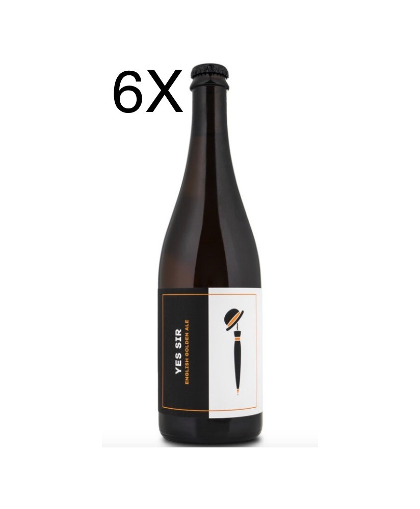 (6 BOTTLES) Noiz - Yes Sir - English Golden Ale - 75cl