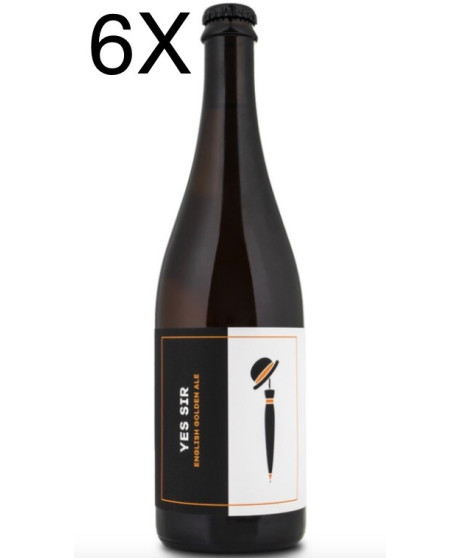 Birrificio Noiz vendita online birra artigianale Yes Sir English Golden Ale. Shop online prezzo birre artigianali di qualità. 