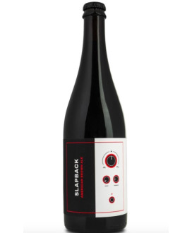 Birrificio Noiz vendita online birra artigianale Slapback American Brown Ale. Shop online prezzo birre artigianali di qualità.