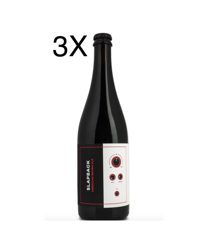 (3 BOTTIGLIE) Noiz - Slapback - American Brown Ale - 75cl